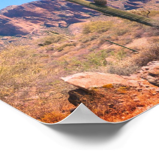 Lone Cactus Poster (Ecke)