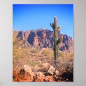 Lone Cactus Poster (Vorne)