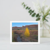 ‚Lone Cottonwood‘ Postkarte (Stehend Vorderseite)