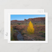 ‚Lone Cottonwood‘ Postkarte (Vorne/Hinten)