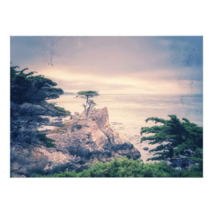 Lone Cypress Fotodruck