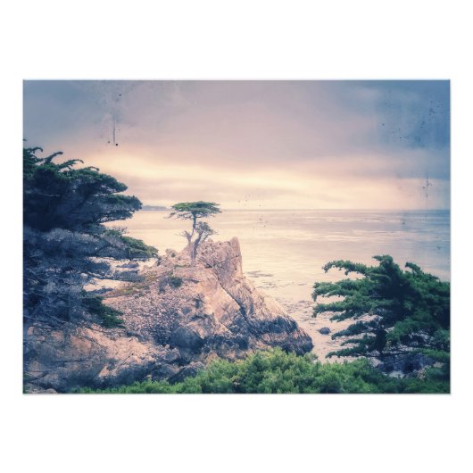 Lone Cypress Fotodruck (Vorne)