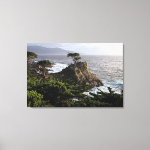 Lone Cypress - Leinenprint Leinwanddruck