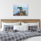 Lone Cypress, Monterey, California Canvas Print Leinwanddruck (Insitu (Schlafzimmer))