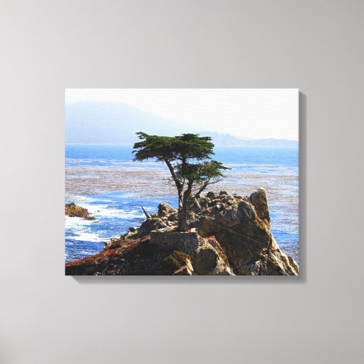 Lone Cypress, Monterey, California Leinwanddruck (Vorderseite)