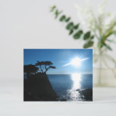 Lone Cypress Postkarte (Stehend Vorderseite)