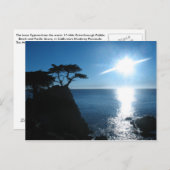 Lone Cypress Postkarte (Vorne/Hinten)