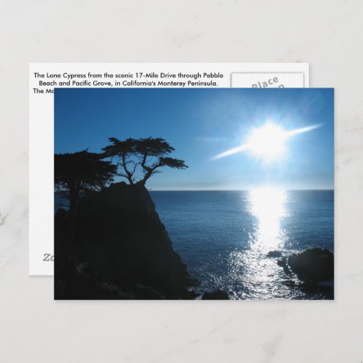 Lone Cypress Postkarte (Vorne/Hinten)