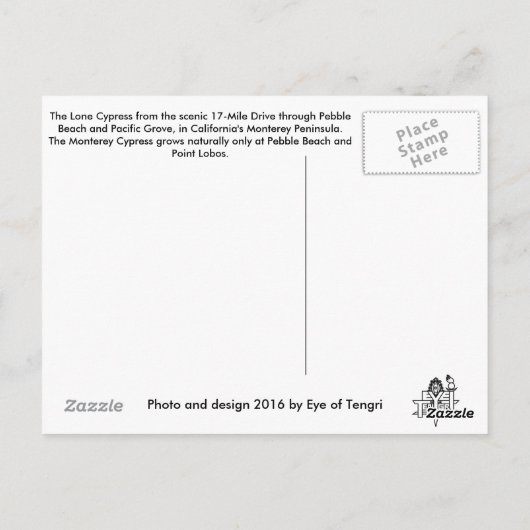 Lone Cypress Postkarte (Rückseite)
