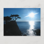 Lone Cypress Postkarte (Vorderseite)