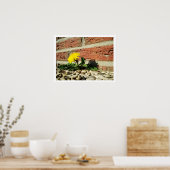 Lone Dandelion Poster (Küche)