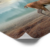 Lone Dee in Misty Forest Poster (Ecke)