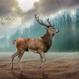 Lone Dee in Misty Forest Schlüsselanhänger