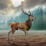 Lone Dee in Misty Forest Tri-fold Geldbeutel<br><div class="desc">Ein wunderschönes Hirsch,  das durch einen scheußlichen Wald läuft.</div>