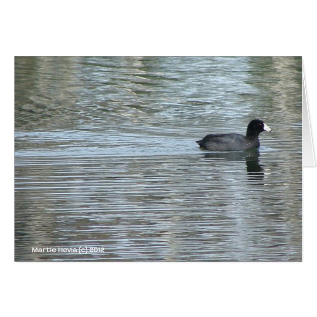 Lone Duck II (Vorderseite (Horizontal))