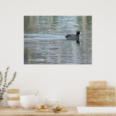 Lone Duck II Poster (Küche)