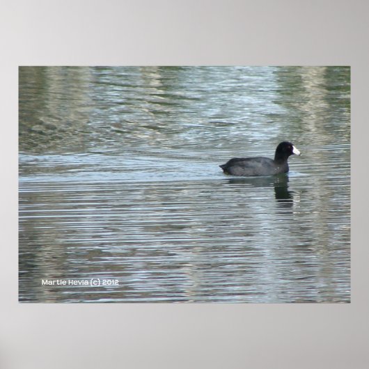 Lone Duck II Poster (Vorne)