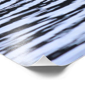 Lone Duck Wildlife Lake Water Ripples Fotografie (Ecke)