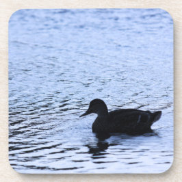 Lone Duck Wildlife Lake Water Ripples Fotografie Untersetzer