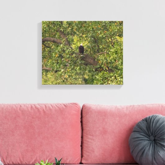 Lone Eagle Leinwanddruck (Insitu (Wohnzimmer))