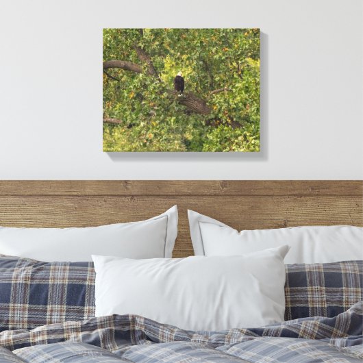 Lone Eagle Leinwanddruck (Insitu (Schlafzimmer))
