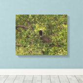 Lone Eagle Leinwanddruck (Insitu (Holzboden))
