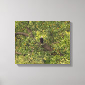 Lone Eagle Leinwanddruck (Vorderseite)