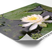 Lone Lily Poster mit May Sarton Zitat (Ecke)