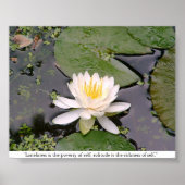 Lone Lily Poster mit May Sarton Zitat (Vorne)