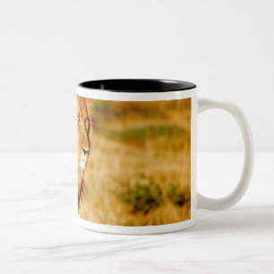 Lone Lion Zweifarbige Tasse