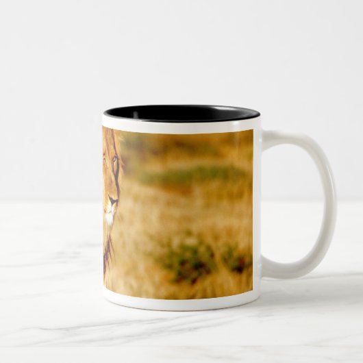 Lone Lion Zweifarbige Tasse (Rechts)