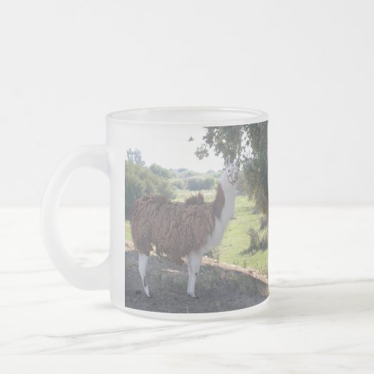 Lone Lllama Mattglastasse (Links)