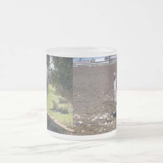 Lone Lllama Mattglastasse (Mittel)