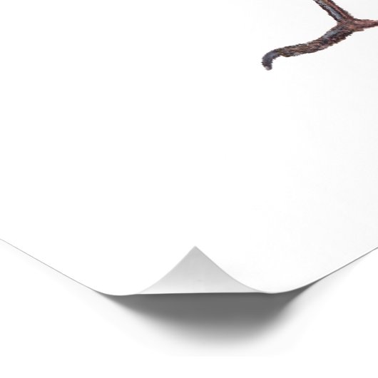 Lone Magpie Fotodruck (Ecke)