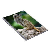 Lone Meerkat Notebook Notizblock (Rechte Seite)