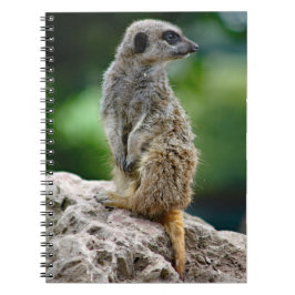Lone Meerkat Notebook Notizblock