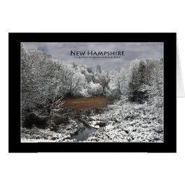 Lone Moose auf einer Snowy Oxbow New Hampshire Car