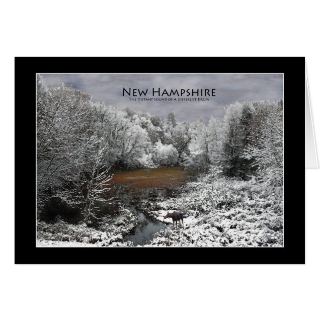 Lone Moose auf einer Snowy Oxbow New Hampshire Car (Vorderseite (Horizontal))