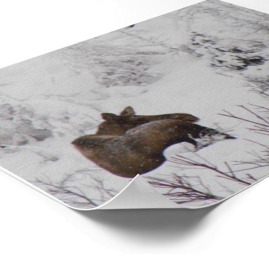 Lone Moose - Logan Guinn Poster (Ecke)