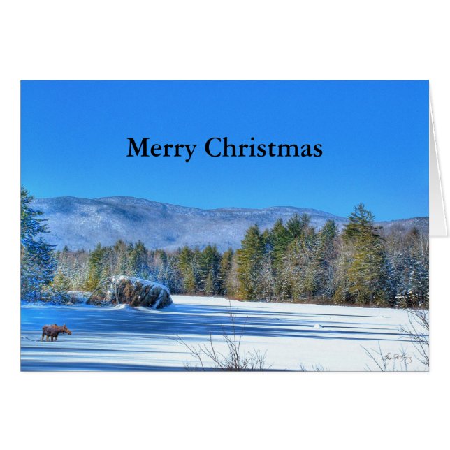 Lone Moose on Robartwood Pond - Weihnachtskarte (Vorderseite (Horizontal))
