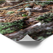 Lone Mushroom Poster (Ecke)