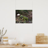 Lone Mushroom Poster (Küche)