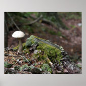 Lone Mushroom Poster (Vorne)