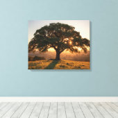 Lone Oak Hill Country Poster - Texas Landscape  Leinwanddruck (Insitu (Holzboden))