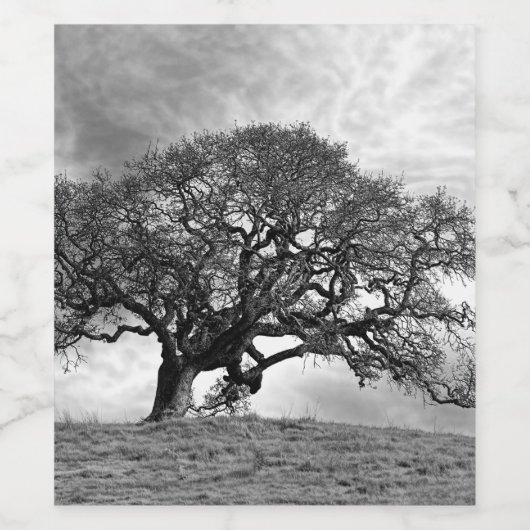 LONE OAK TREME WEINETIKETT (Einzelnes Label)