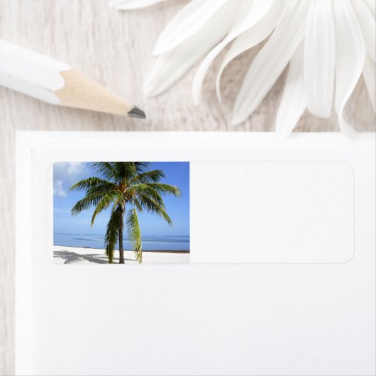 Lone Palm (Insitu)