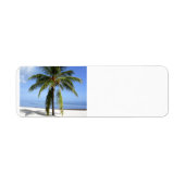 Lone Palm (Vorne)