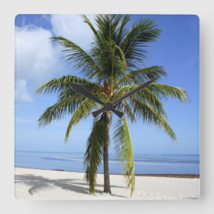 Lone Palm Quadratische Wanduhr