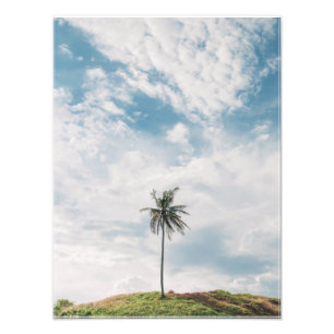 Lone Palm under Blue Sky   Minimalistisch tropisch Fotodruck