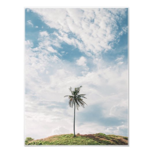 Lone Palm under Blue Sky | Minimalistisch tropisch Fotodruck (Vorne)